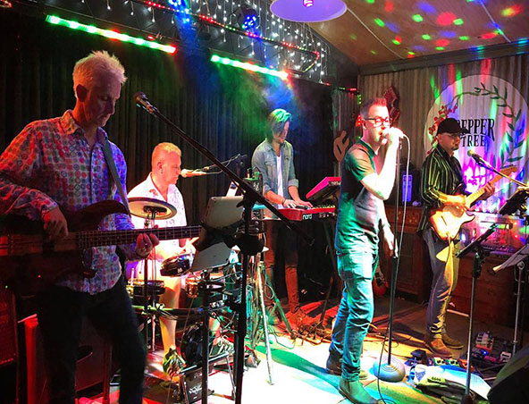 Back to funk, funk band in Adelaide, photo 3