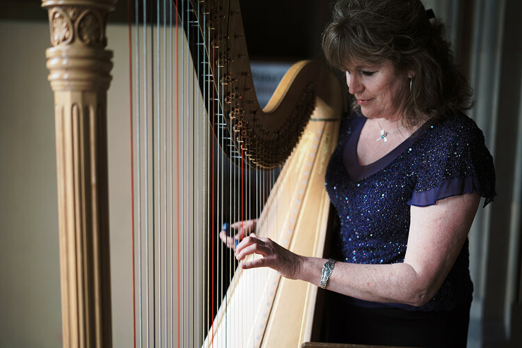 Carolyn Burgess, harp player in Adelaide, photo 3