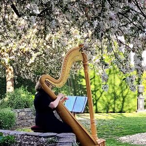 Carolyn Burgess, harp player in Adelaide, photo 2