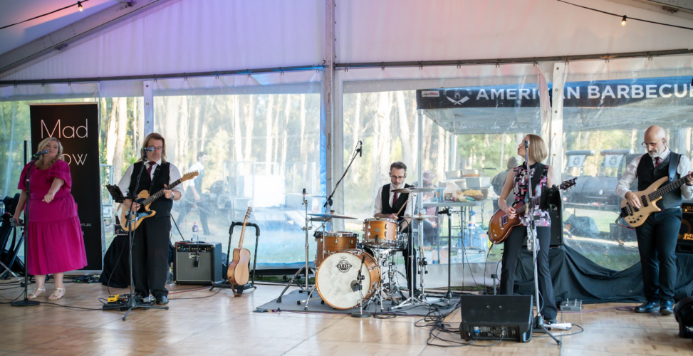 Mad Cow, cover band in Ballarat, photo 3