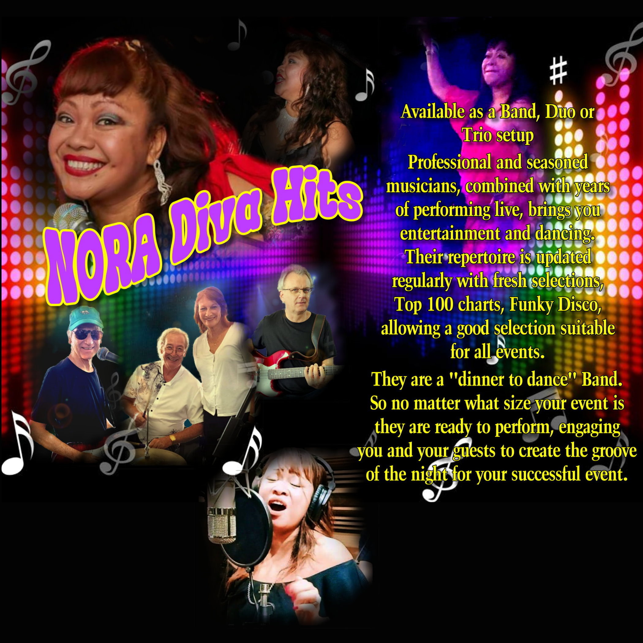 Nora Diva Hits, cover band in Brisbane, photo 2