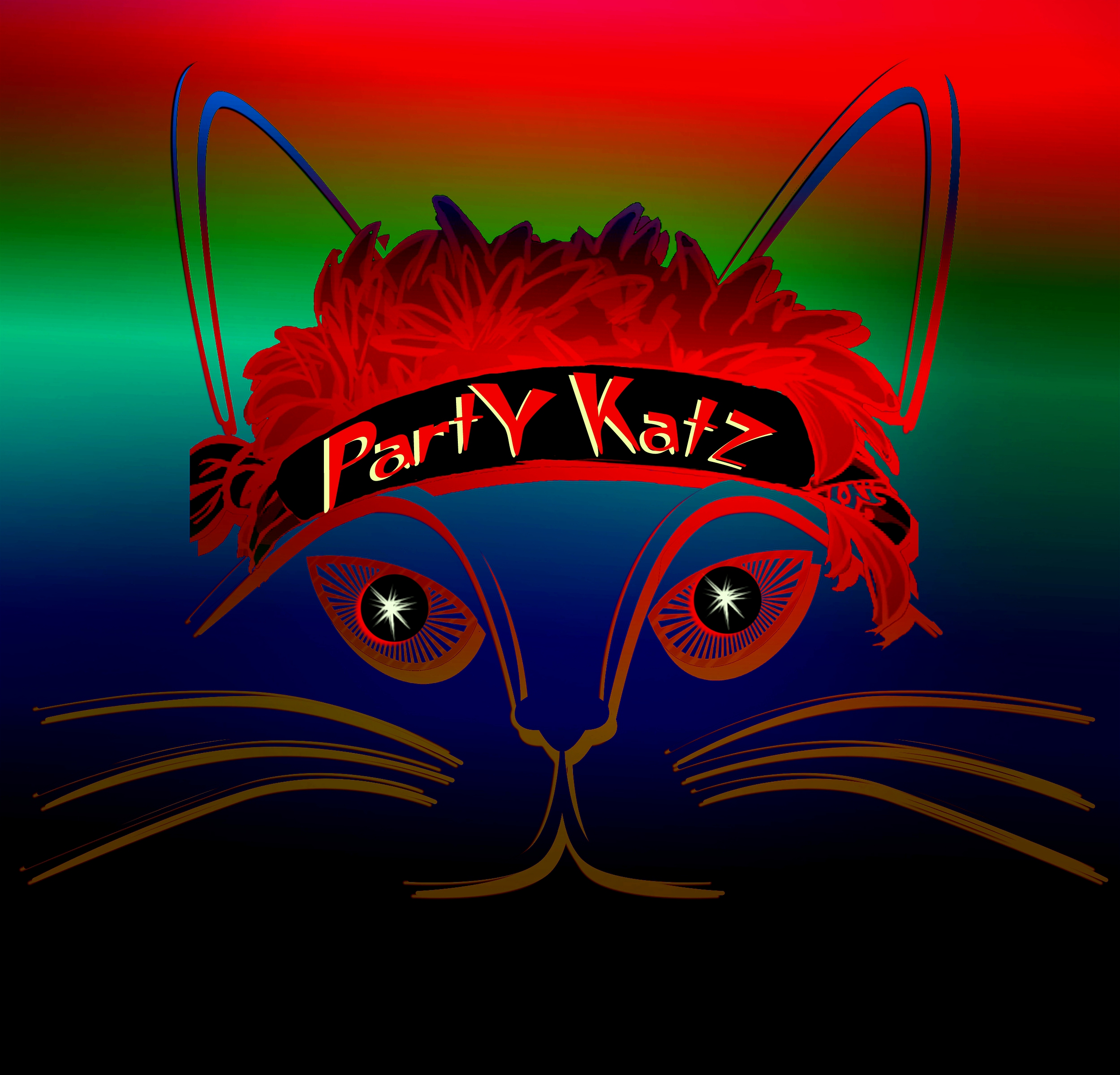 PartyKatz, cover band in Brisbane, photo 2