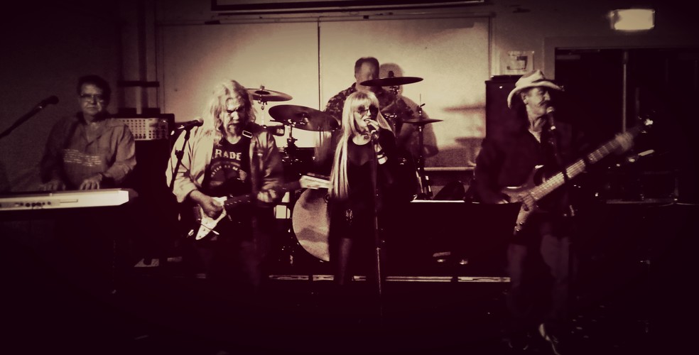 PartyKatz, cover band in Brisbane, photo 3