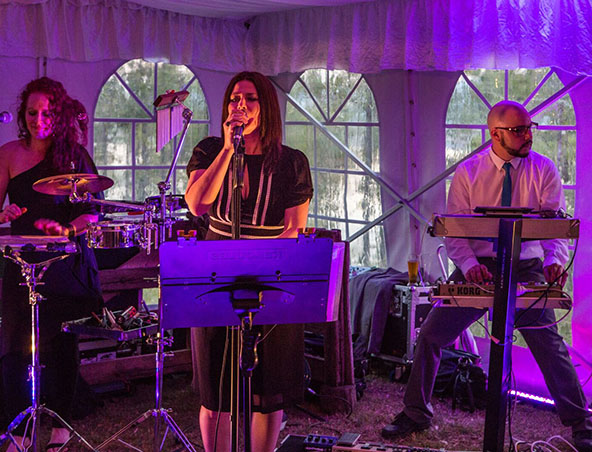Liquid Wax, musical duo in Brisbane, photo 2