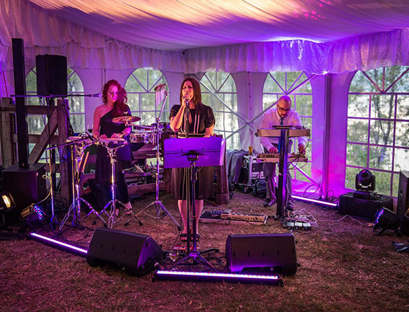 Liquid Wax, musical duo in Brisbane, photo 3