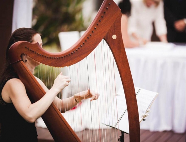 Brisbane Wedding Harpist B, harp player in Brisbane