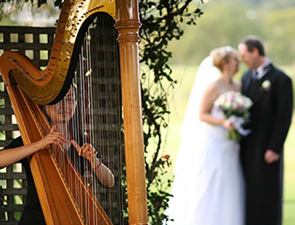 Brisbane Wedding Harpist C, harp player in Brisbane