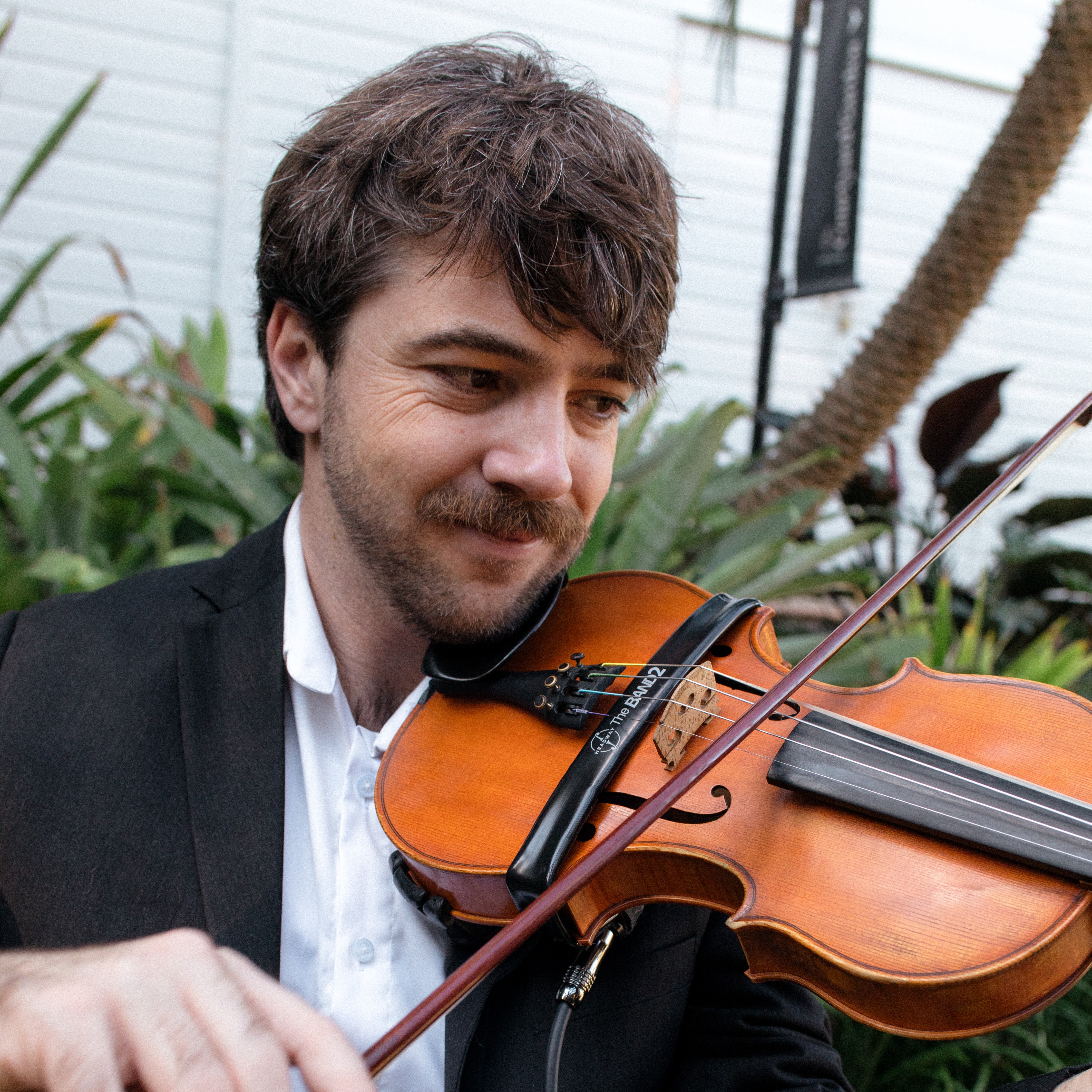 Gareth Mewes, violinist in Brisbane, photo 2