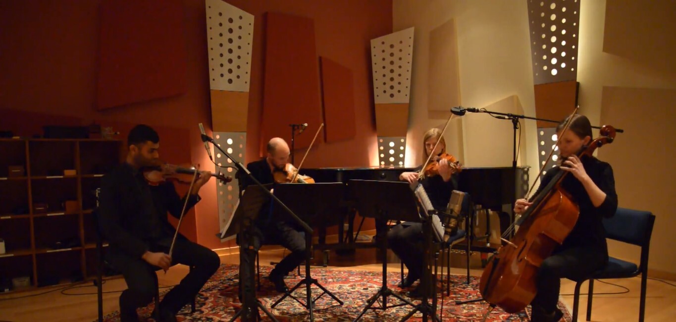 Sanctuary String Quartet, wedding band in Brisbane, photo 3