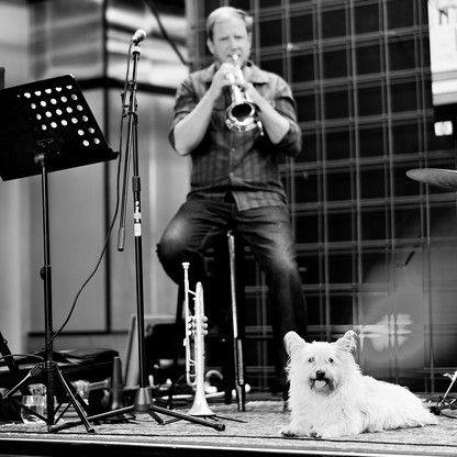 Govinda Abbott, trumpet player in Byron Bay