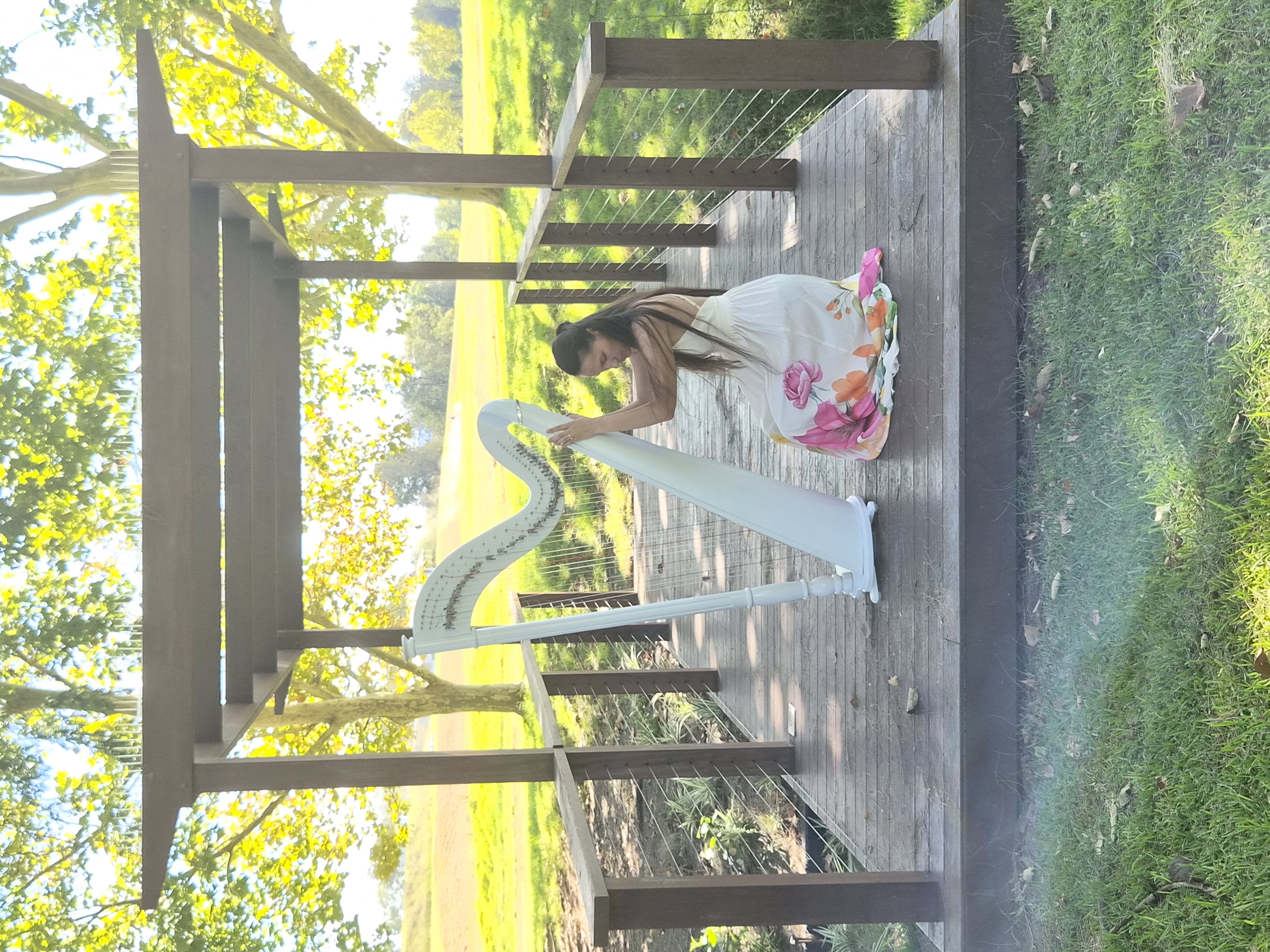 Melanie Trapman, harp player in Dubbo, photo 2