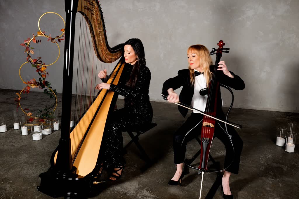Etherea, harp and singer in East Warburton, photo 2
