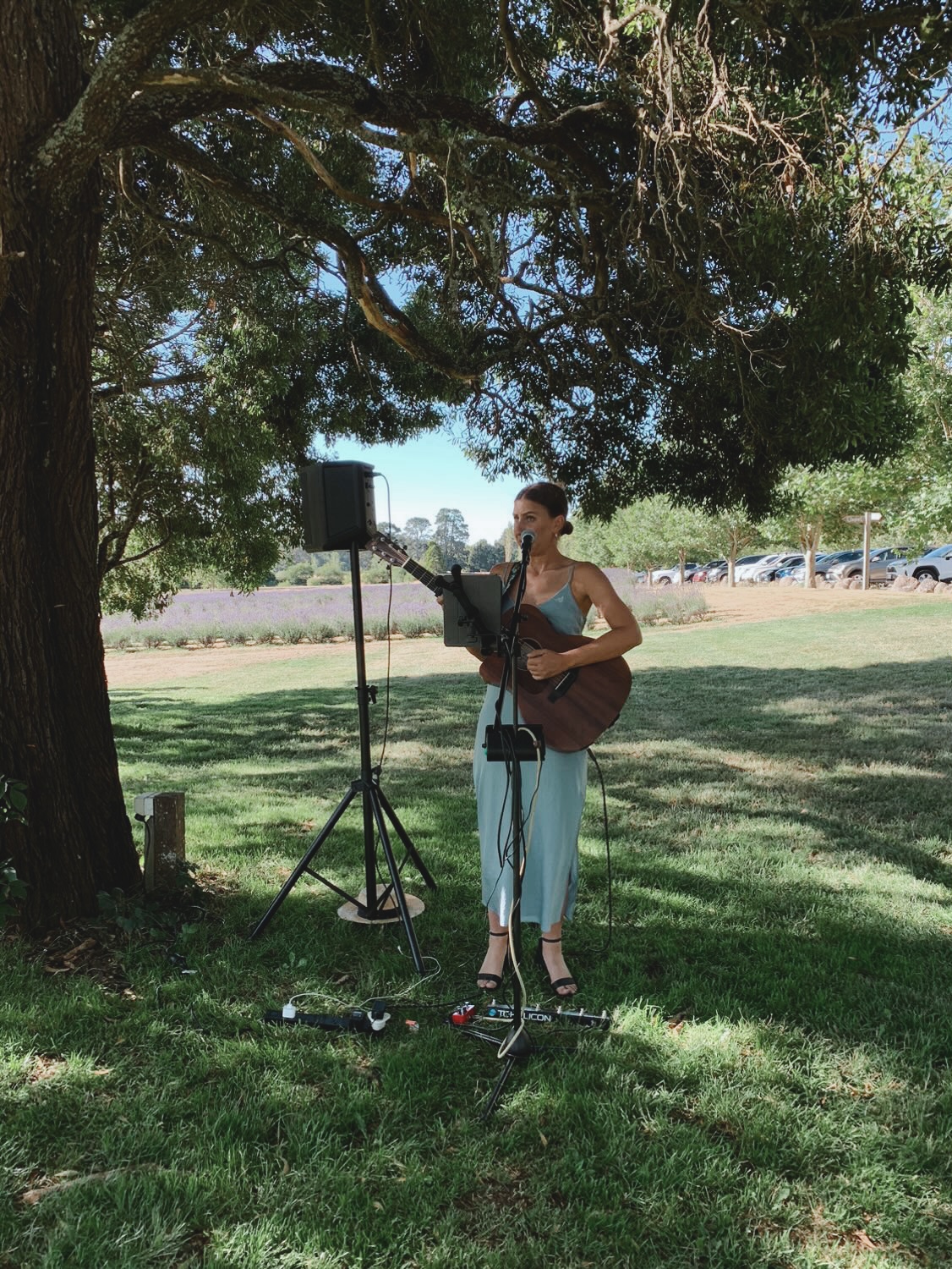 Ellys, singer in Gold Coast, photo 2