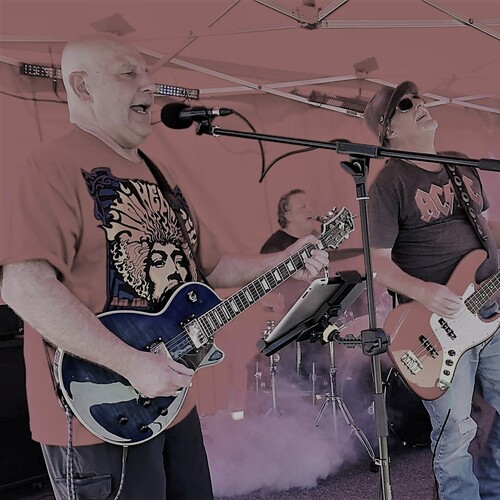 Vinyl Revival, cover band in Gold Coast, photo 3