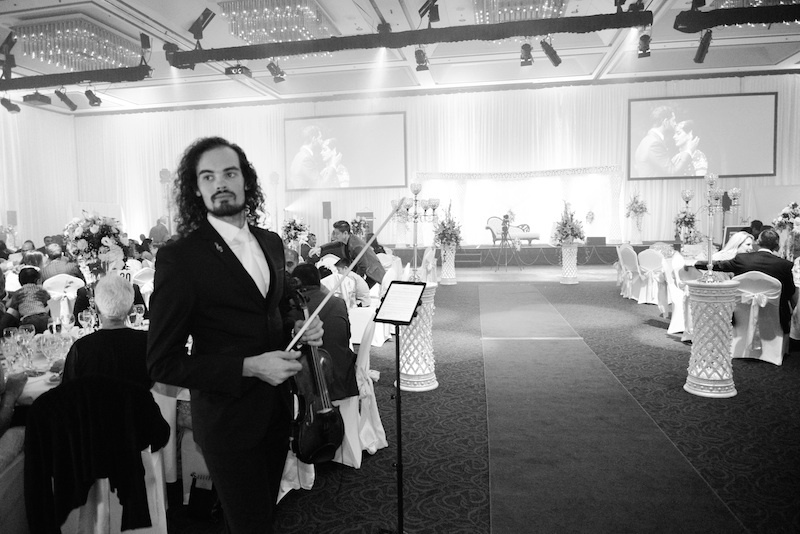 Frank Fodor Violinist, wedding band in Gold Coast, photo 3