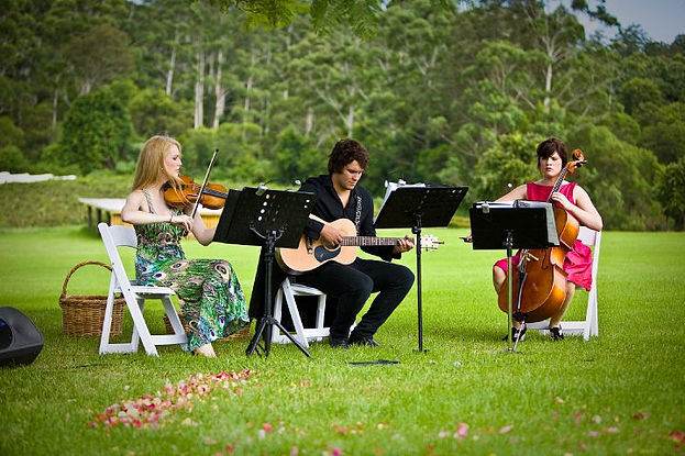 Evergreen, wedding band in Hunter Valley