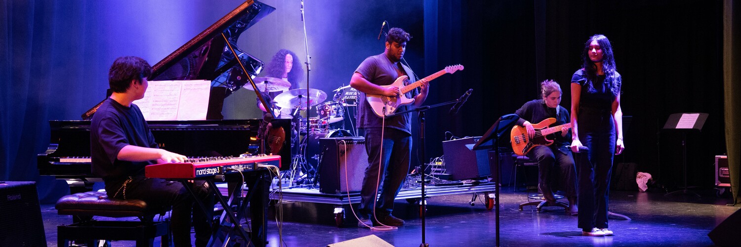 Blue Cosmos, cover band in Melbourne, photo 3