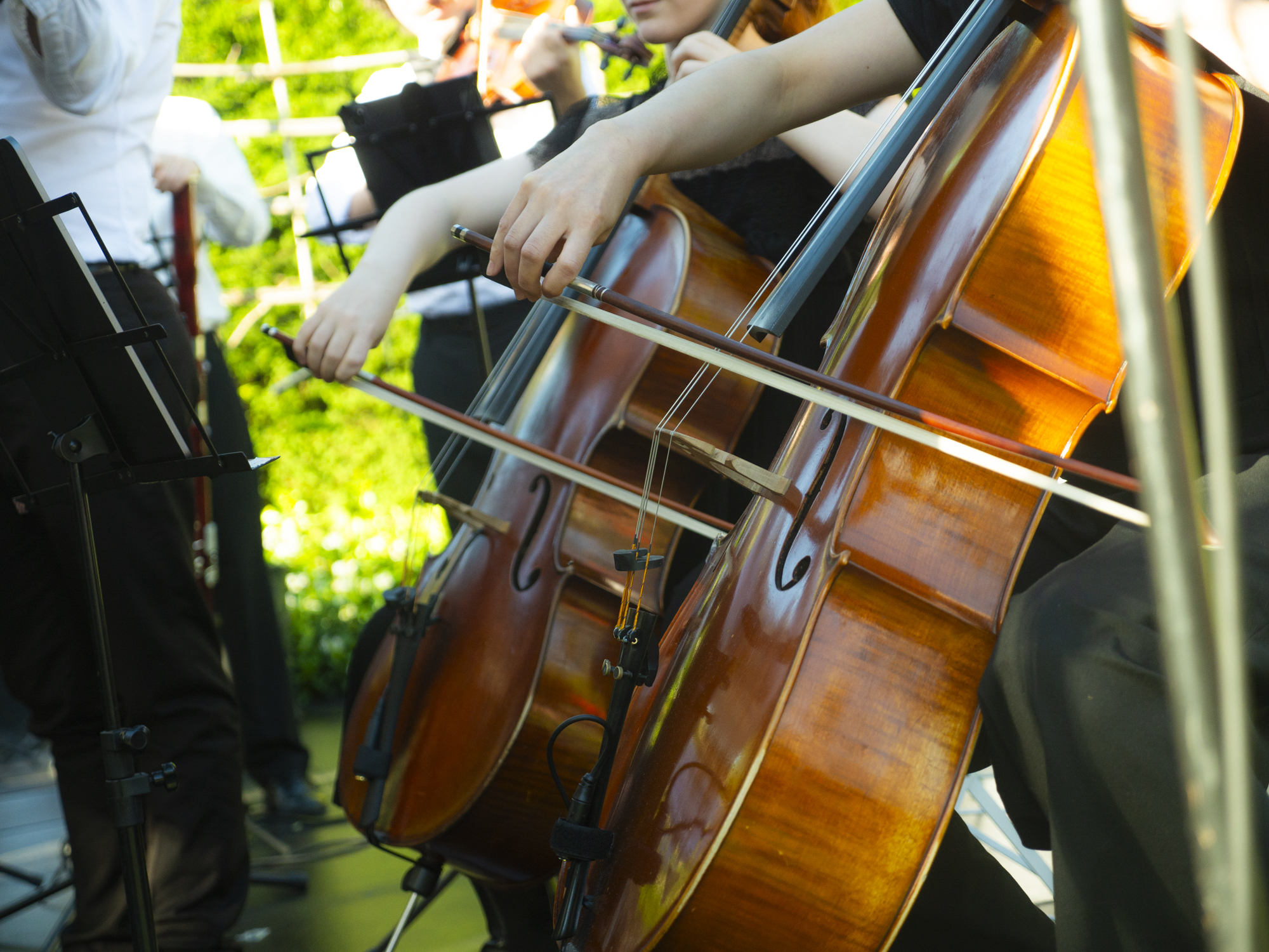 Cedar Collective, wedding band in Melbourne, photo 2
