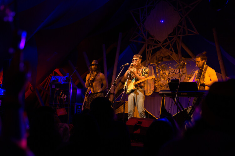 Will Henderson, musical soloist in Mullumbimby, photo 3