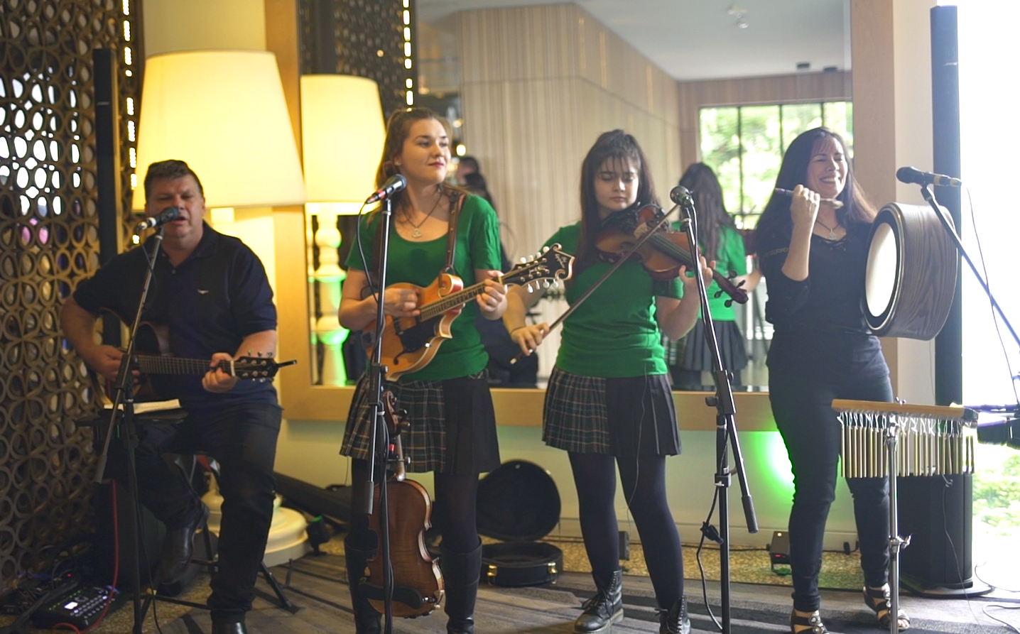String Loaded, celtic band in Newcastle