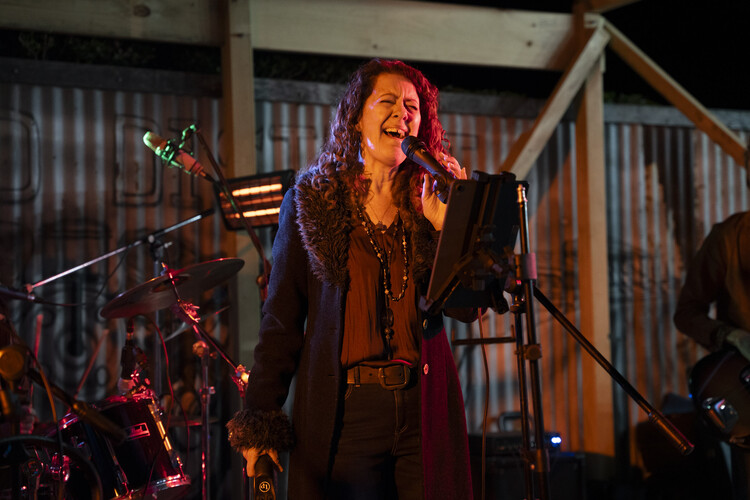 Hamilton Alley, cover band in Newcastle, photo 3