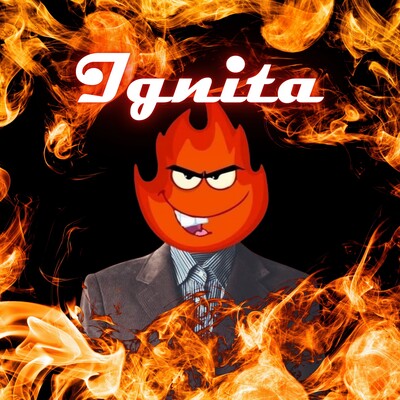 Ignita, cover band in Newcastle, photo 3