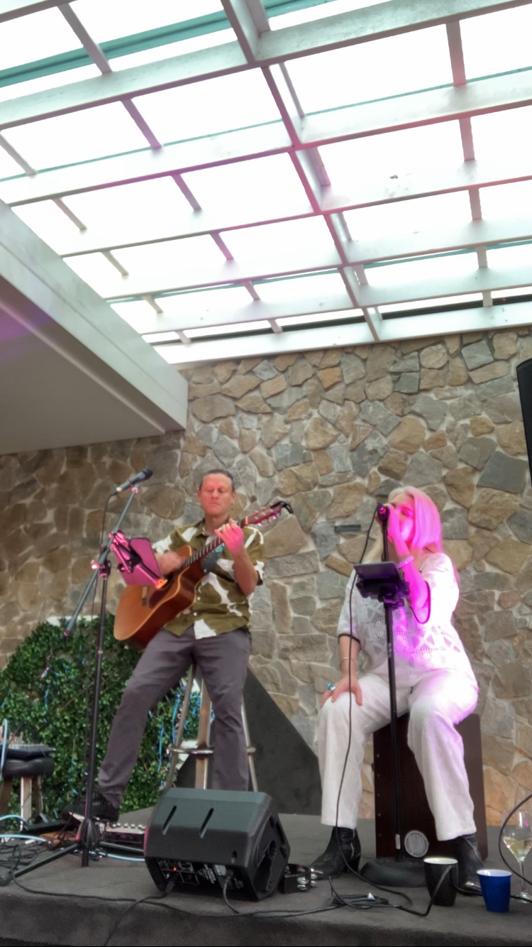 Retro Tone Duo, musical duo in Newcastle