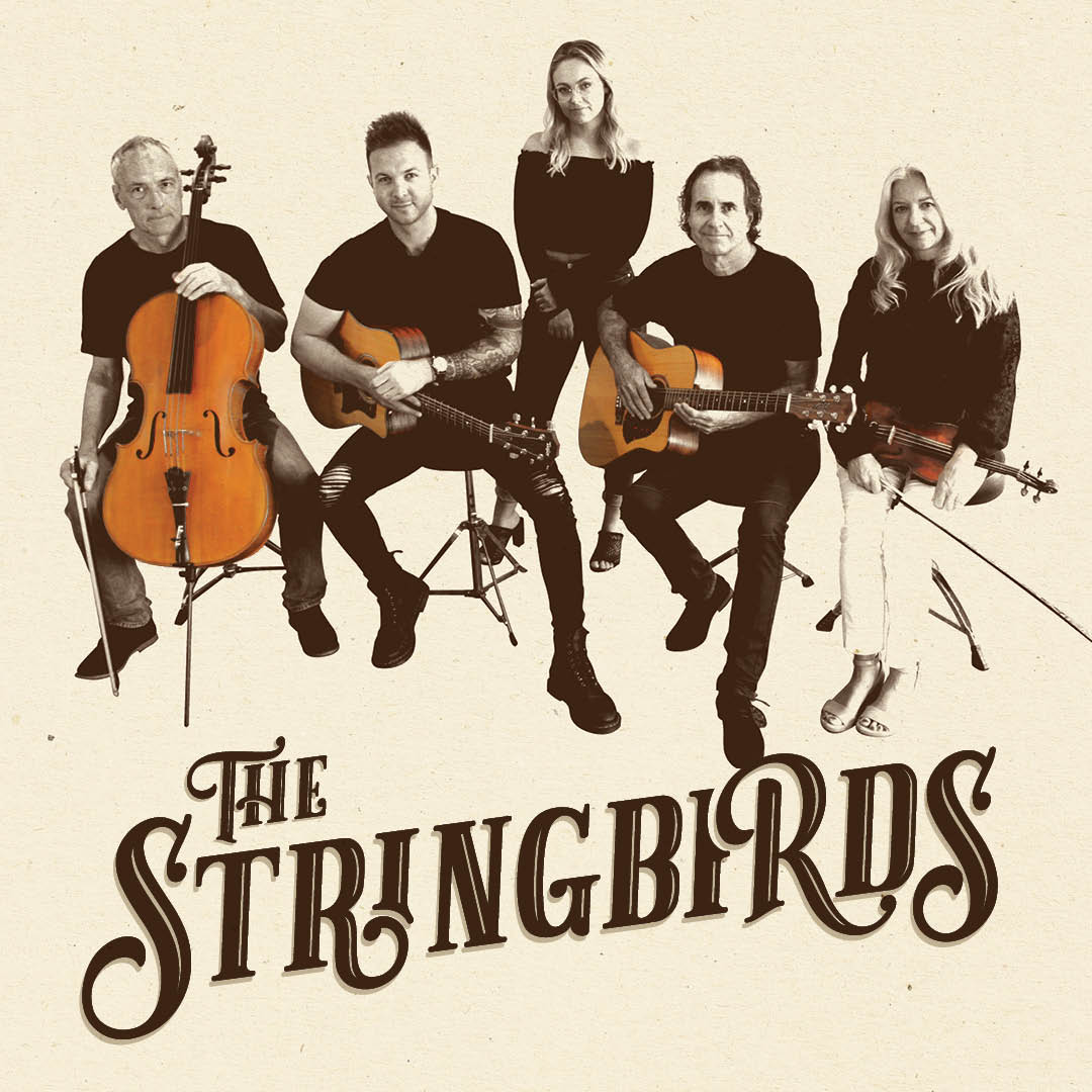The Stringbirds, cover band in Perth
