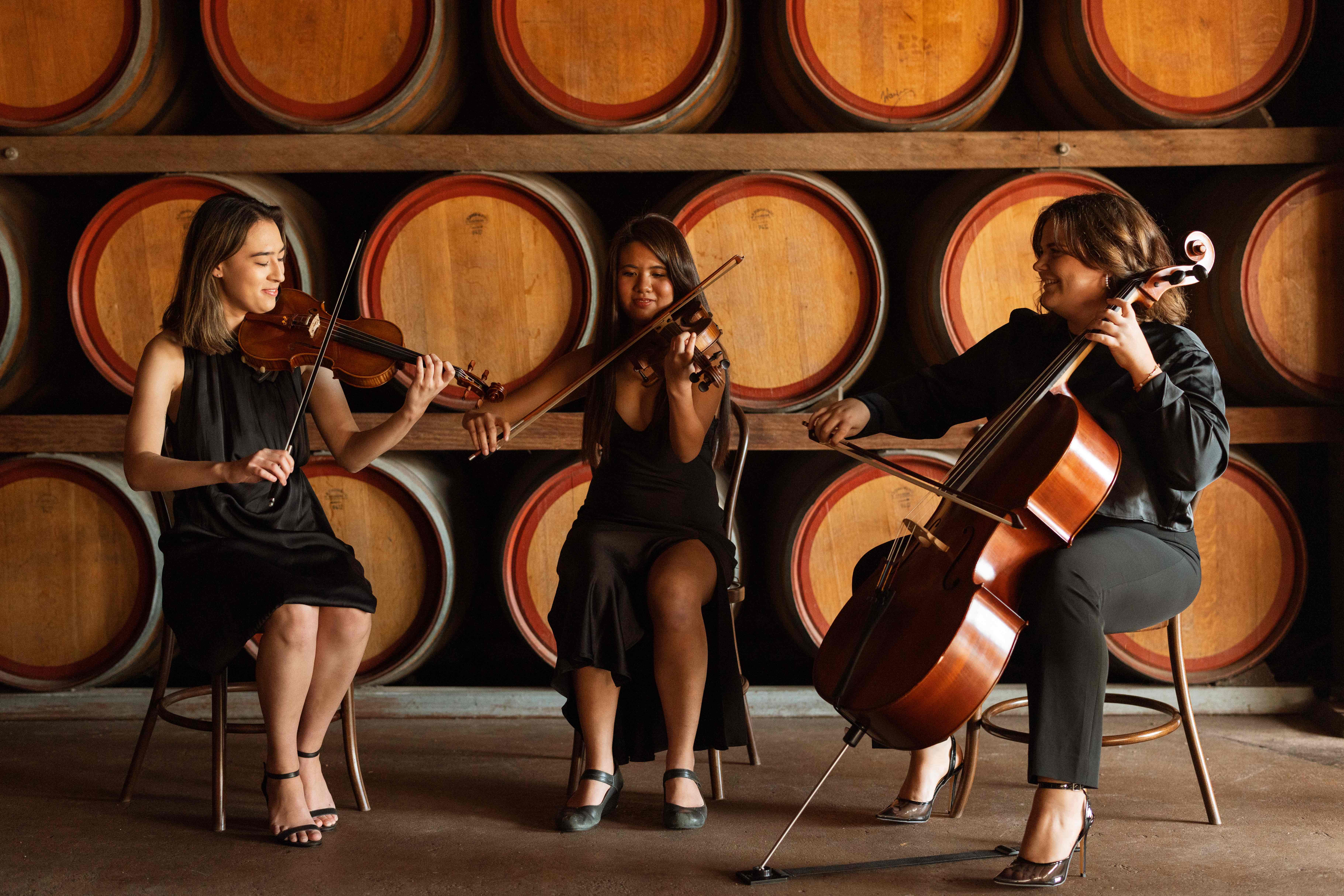 Amare Strings, string quartet in Perth, photo 2