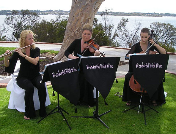 Wonderful With Wine, string trio in Perth, photo 3