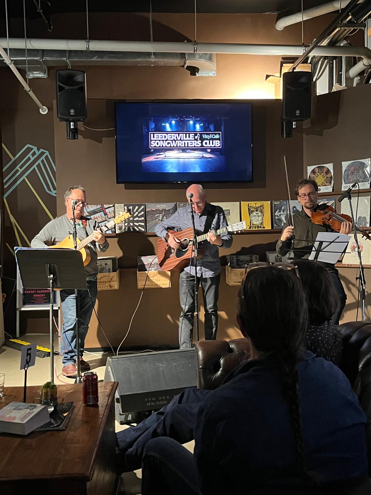 Lunar View, cover band in Perth