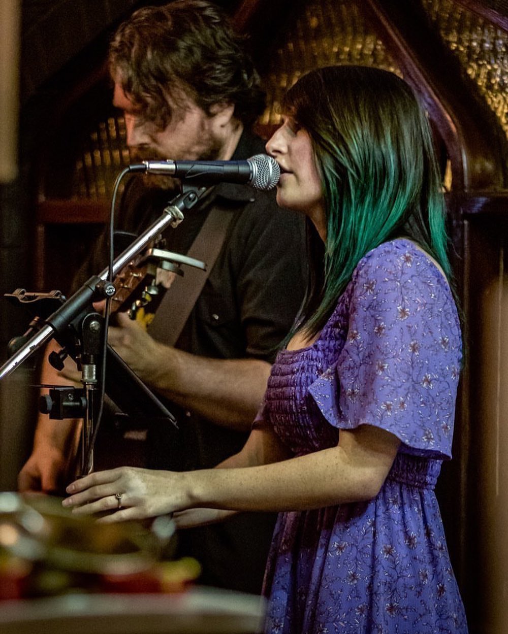 Psycho Fox, musical duo in Perth, photo 2