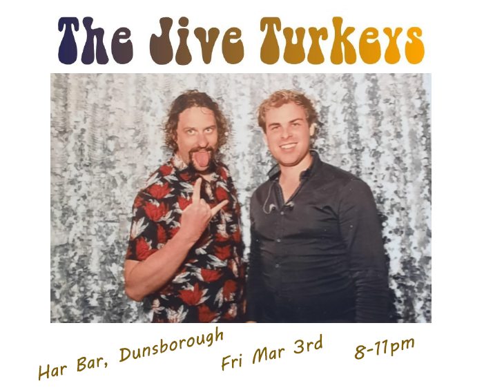 The Jive Turkeys, musical duo in Perth