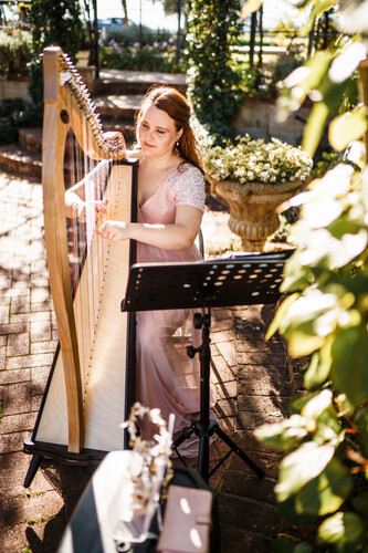 Harmony Sounds, harp player in Perth, photo 3