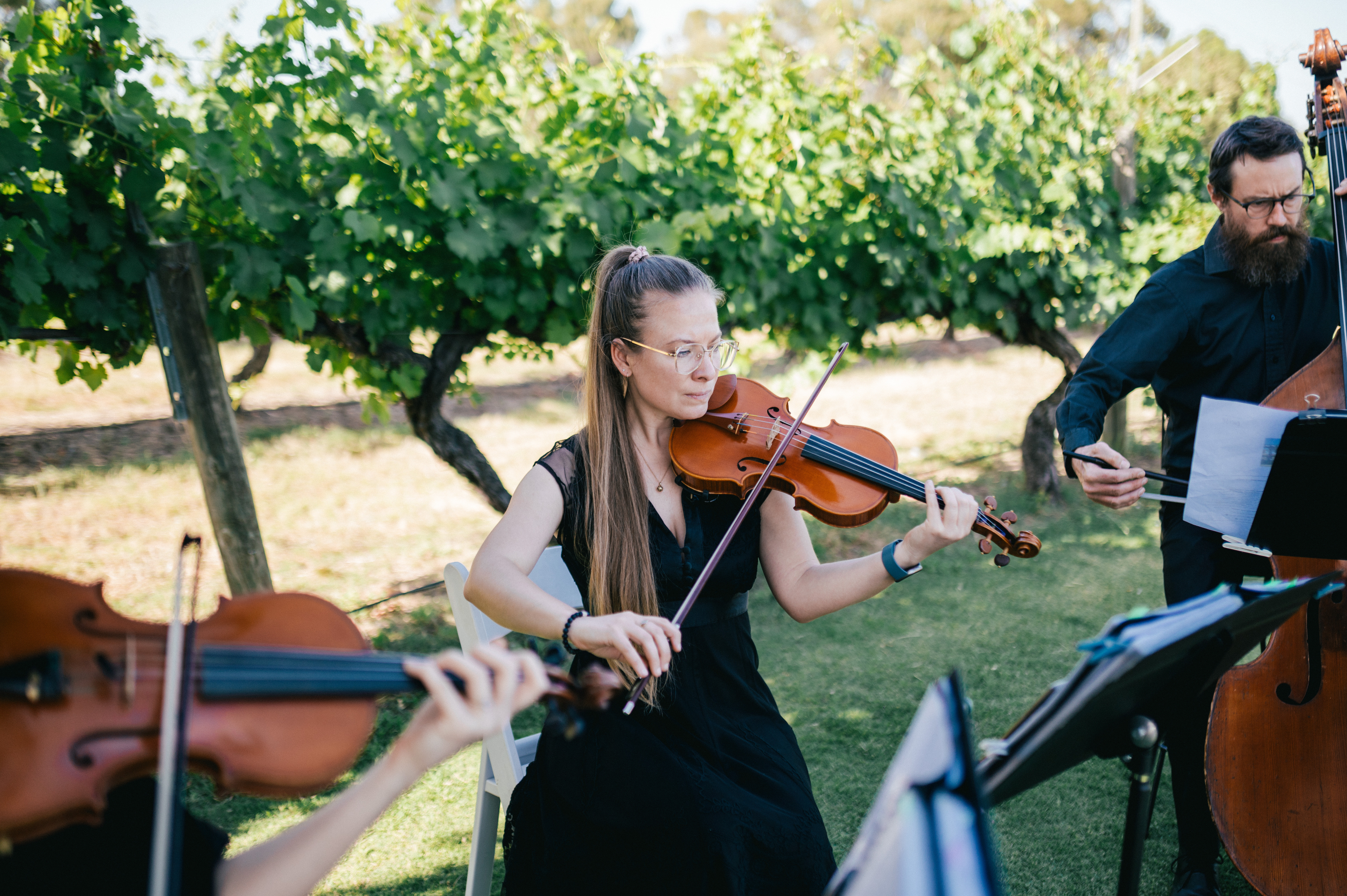 Quartet With A Twist, string quartet in Perth, photo 2