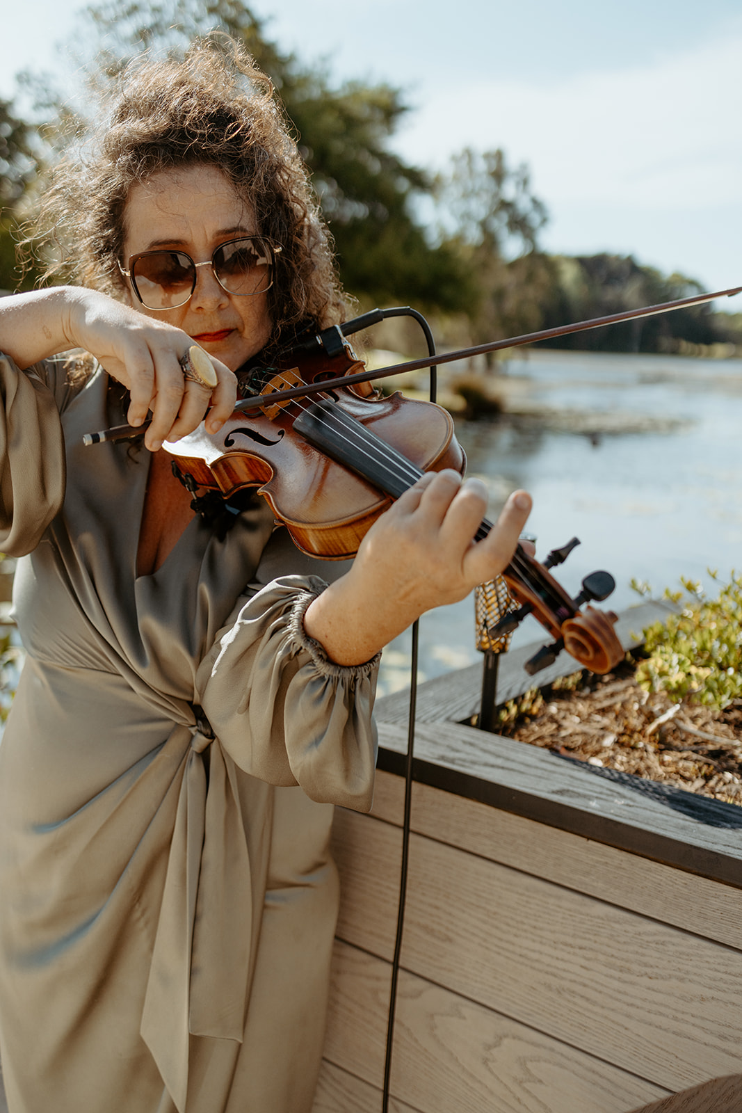 River Suite, violinist in Sunshine Coast