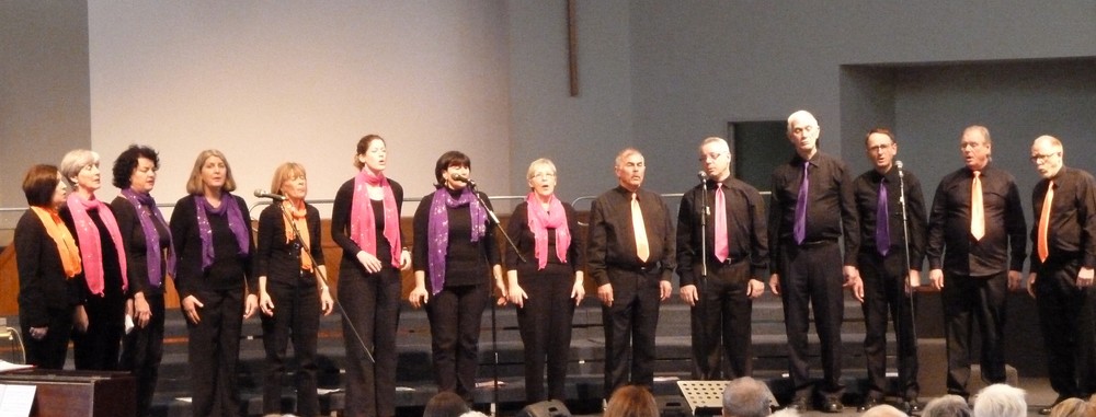 Choirs for Hire, live in Sydney, photo 3