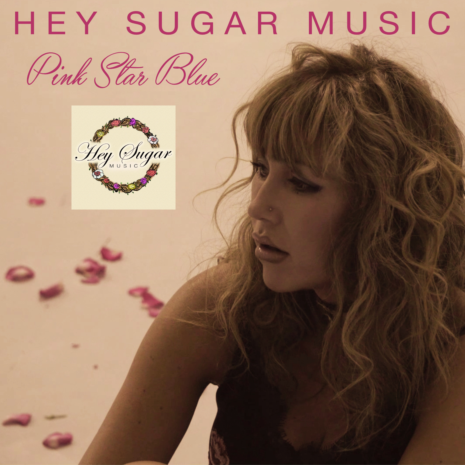 Hey Sugar Music, cover band in Sydney, photo 2
