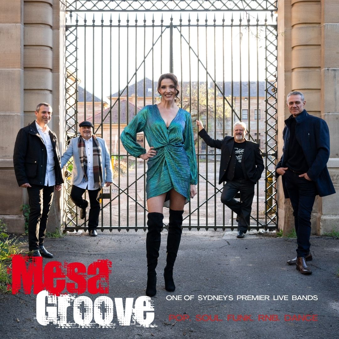 Mesa Groove, cover band in Sydney, photo 2