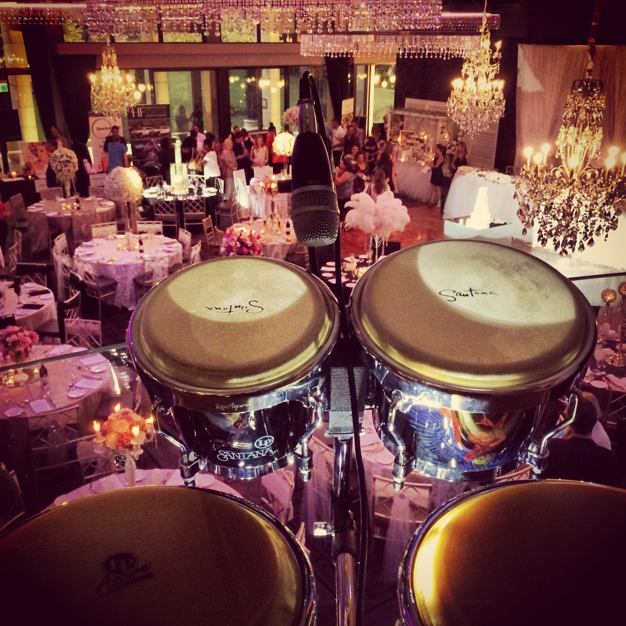 Bongo Player /Percussionist (Mark on Drums), drummer in Sydney