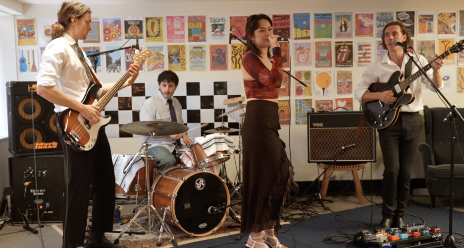 Willow & Co., musical duo in Sydney, photo 3