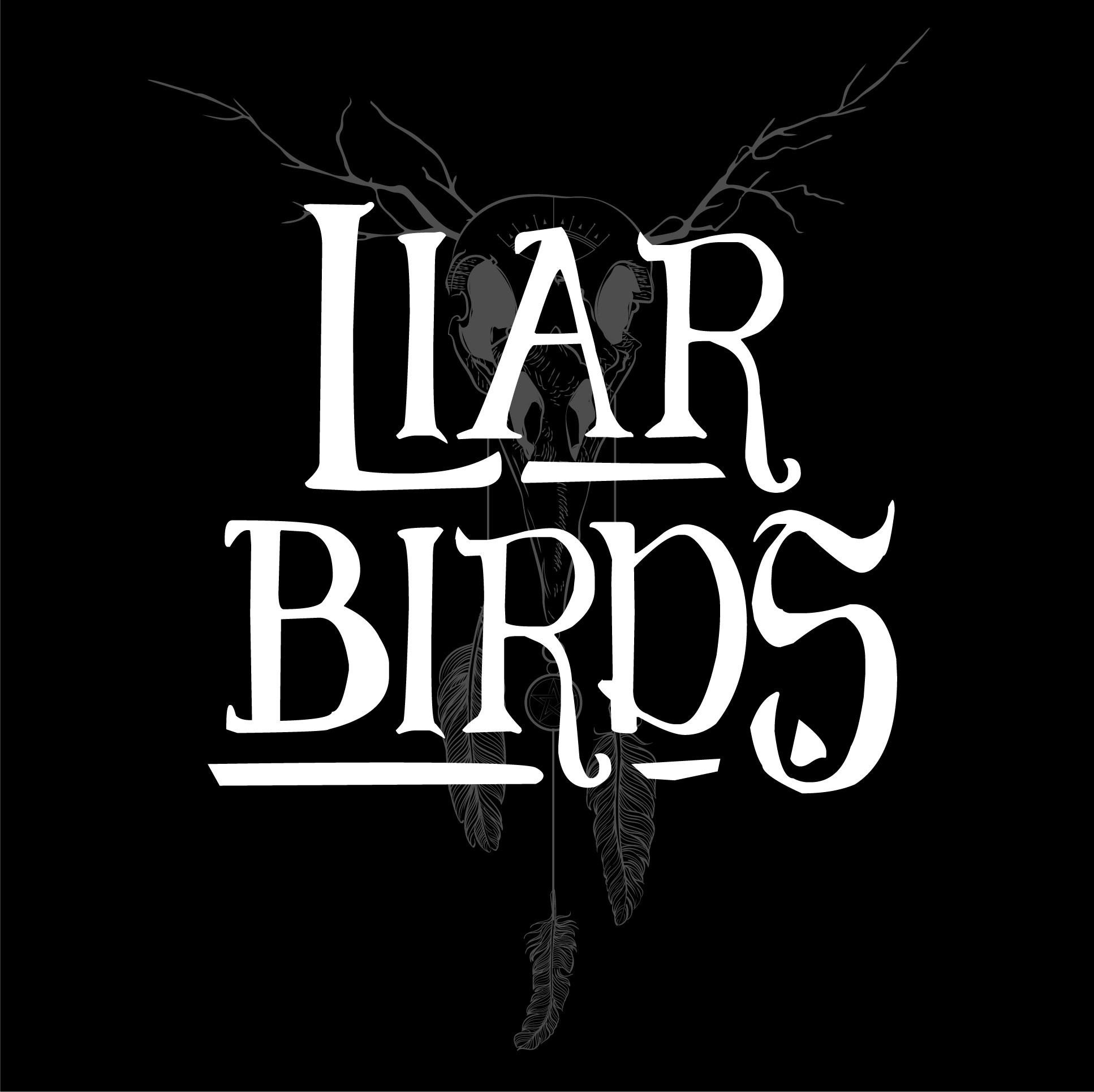 LIAR Birds, cover band in Toowoomba, photo 2