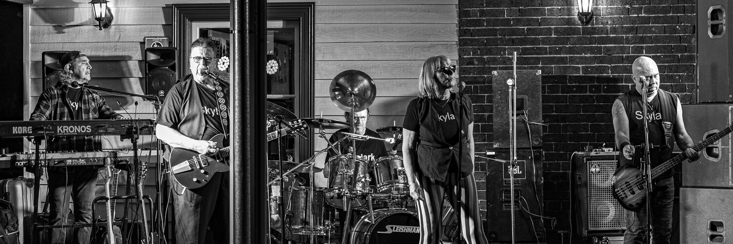 Skylark, cover band in Wollongong, photo 2