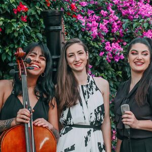 Artela, classical ensemble in Brisbane, photo 2
