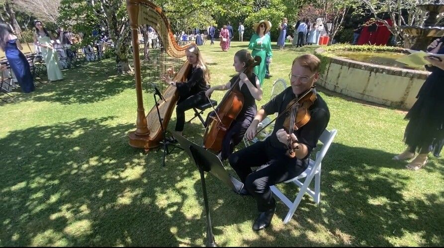 Artela, classical ensemble in Brisbane, photo 3